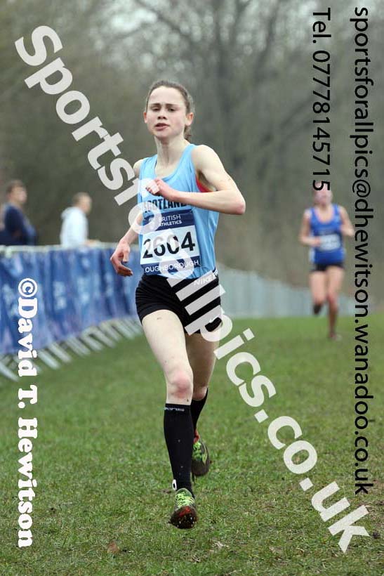 Womens under-20s Inter Counties Cross Country, Prestwold Hall, Loughborough. Photo: David T. Hewitson/Sports for All Pics